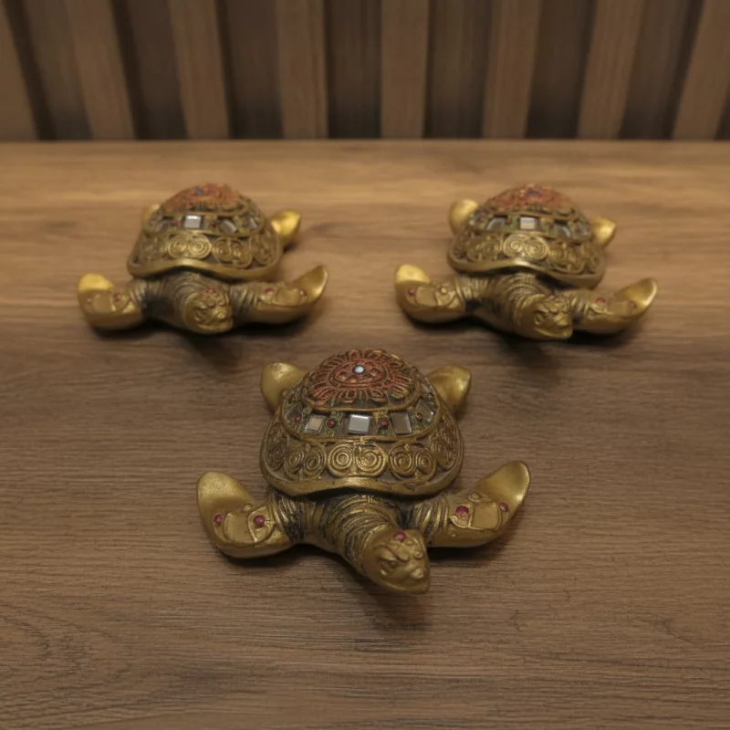TORTUGA