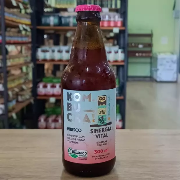 KOMBUCHA ORG. HIBISCO FRUTAS V.300ml