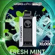 👽 Fresh Mint