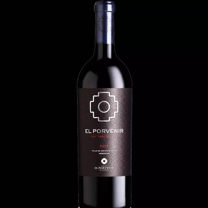 Family Icon. El Porvenir