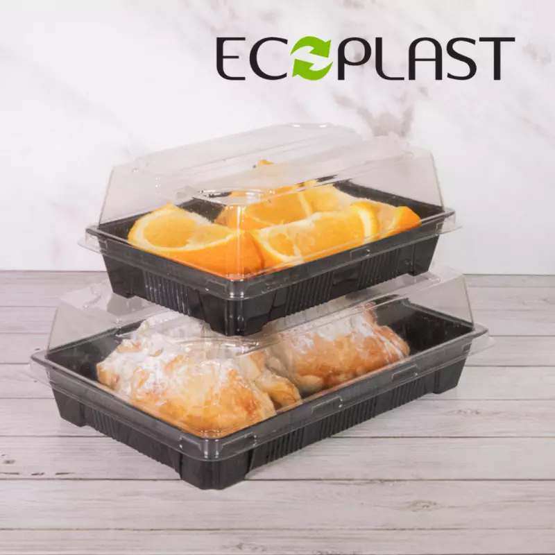 Delipack Sushi Alto ECOPLAST