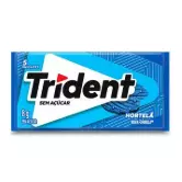 Trident Hortelã 8g