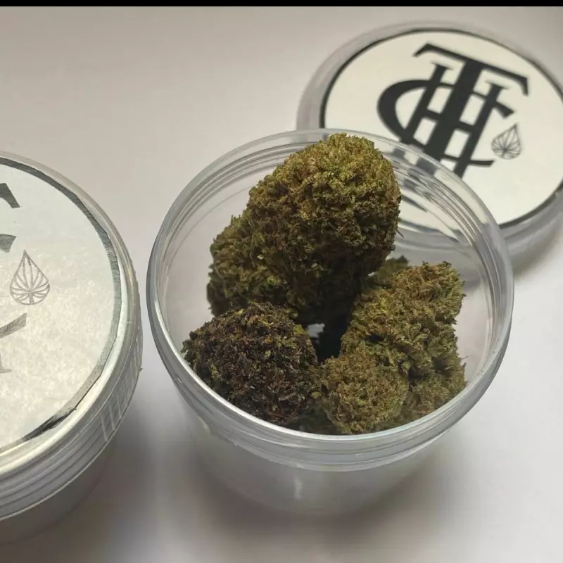 Lata Green House Exotic