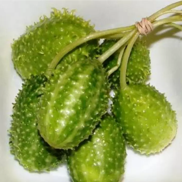 Maxixe (maço com 10 und)