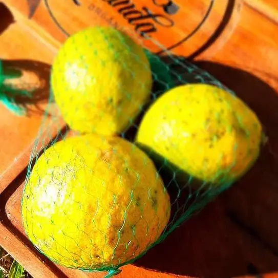 Limão Siciliano 500g