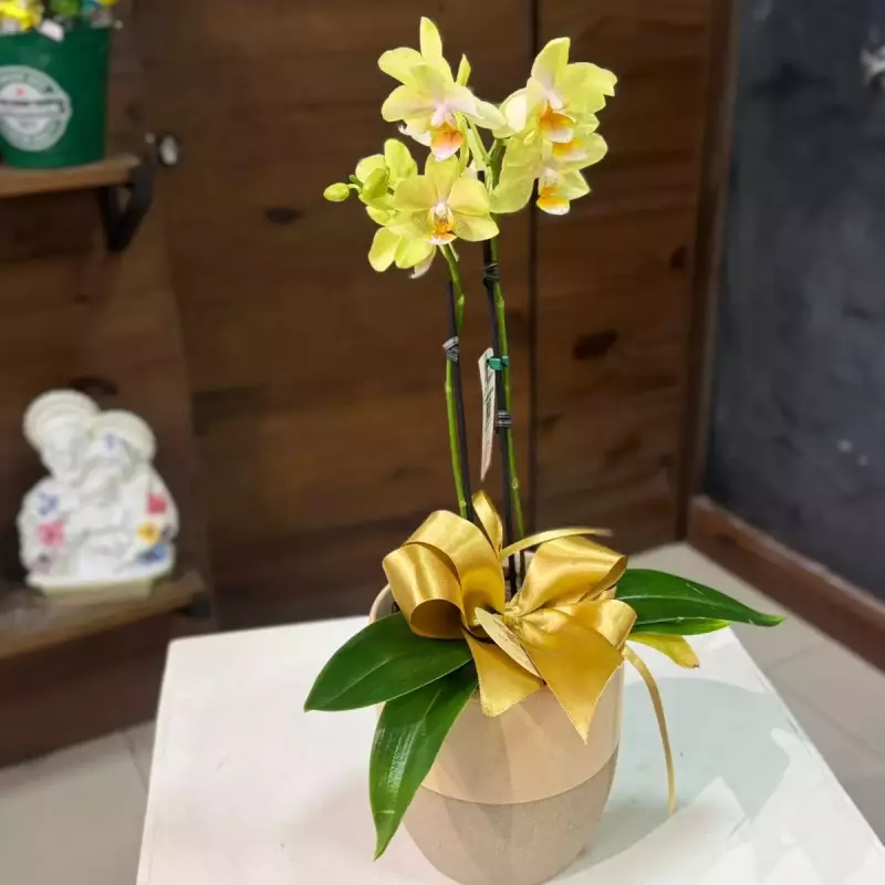 Mini Orquídea na cerâmica