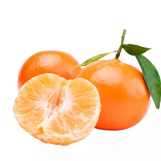 甜柑 Mandarina