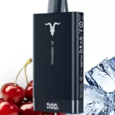 V150 PRO Cherry Ice