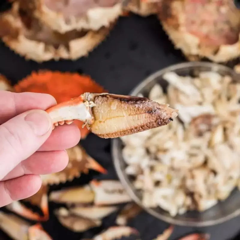 Patinha de Caranguejo 12 unidades