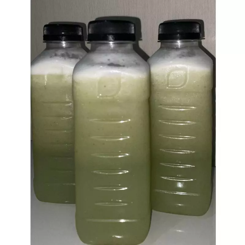 Suco Abacaxi com Hortelã 500ml
