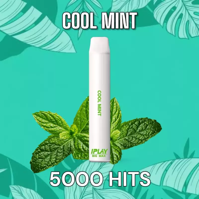 Cool Mint 5000 Hits