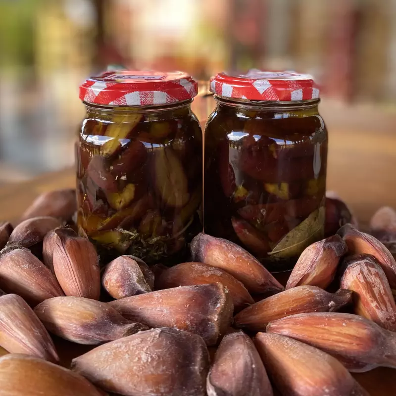 Pinhão em conserva (Aprox 260ml)