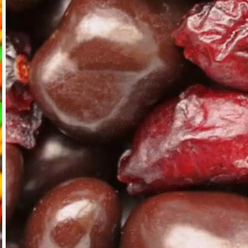 Cramberry chocolate