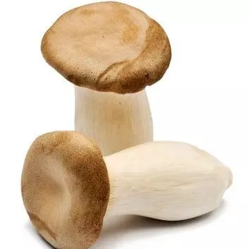 Cardoncello orgánico x 250gr