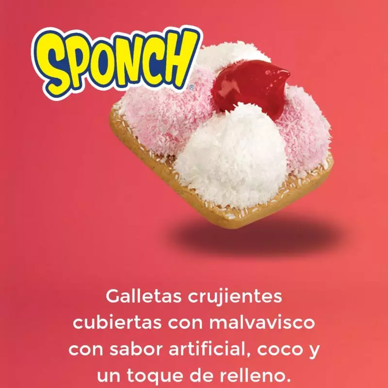 Sponch