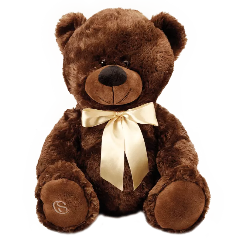 Pelúcia de Urso Marrom G