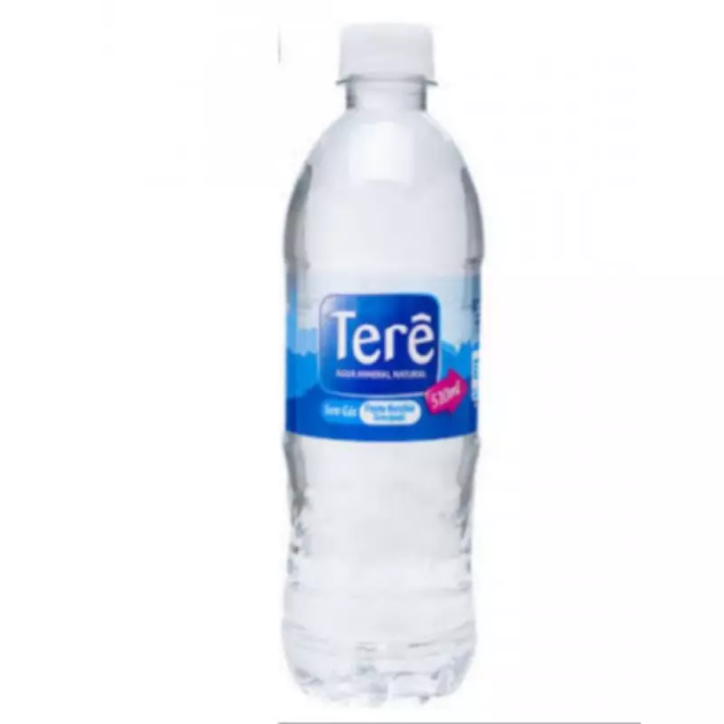 Água Mineral Sem Gás 510ml
