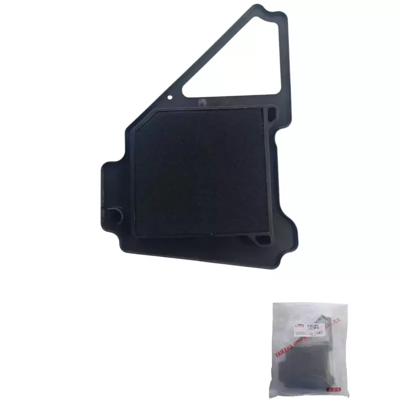 FILTRO DE AIRE LIBERO125/ YBR125 TO