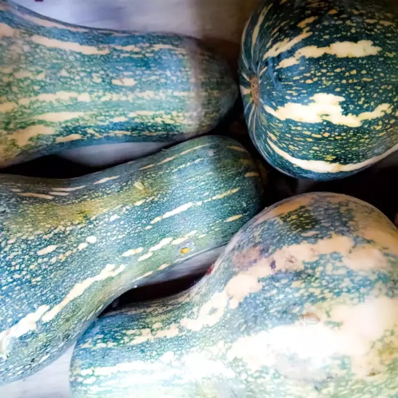 ABÓBORA PAULISTA ORG.500gr