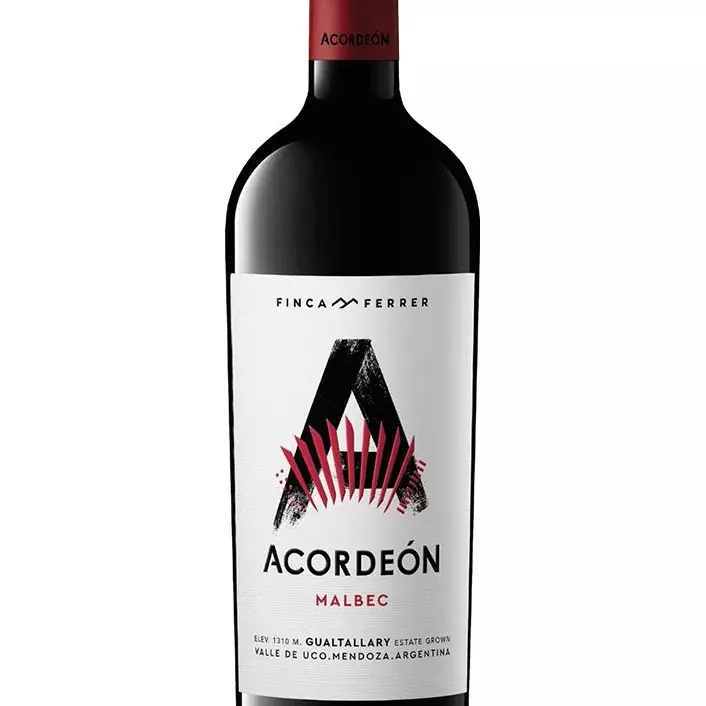 Acordeón Malbec
