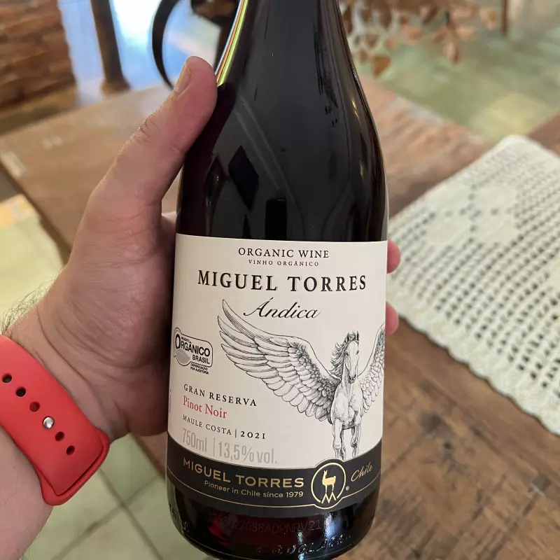 Vinho Miguel Torres Pinot Noir