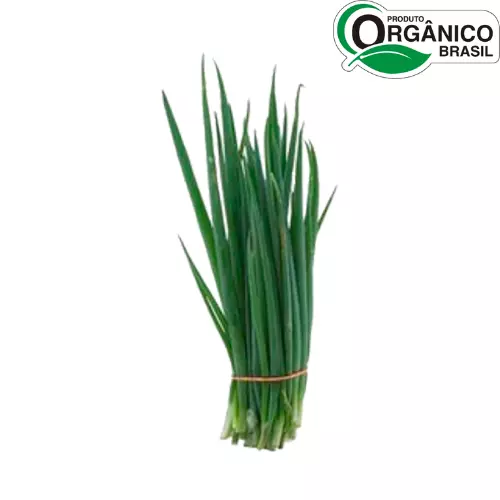 Cebolinha Orgânica Maço