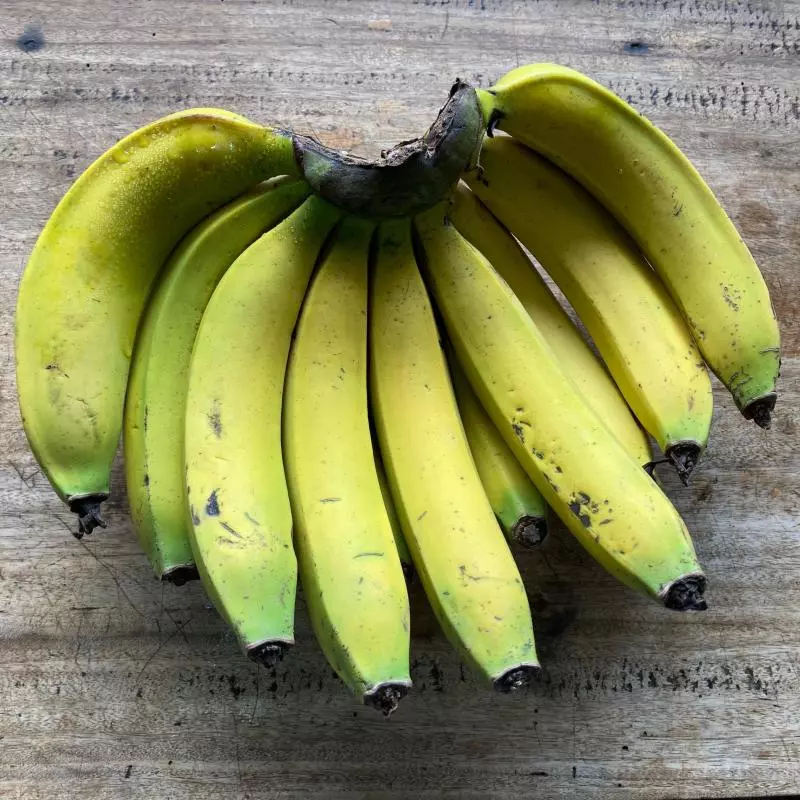 Banana Nanica Extra (Calais)