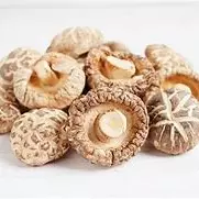 Cogumelo Shiitake Seco 100g