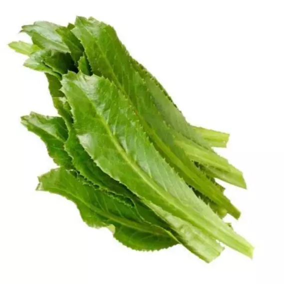 一包西荽Culantro