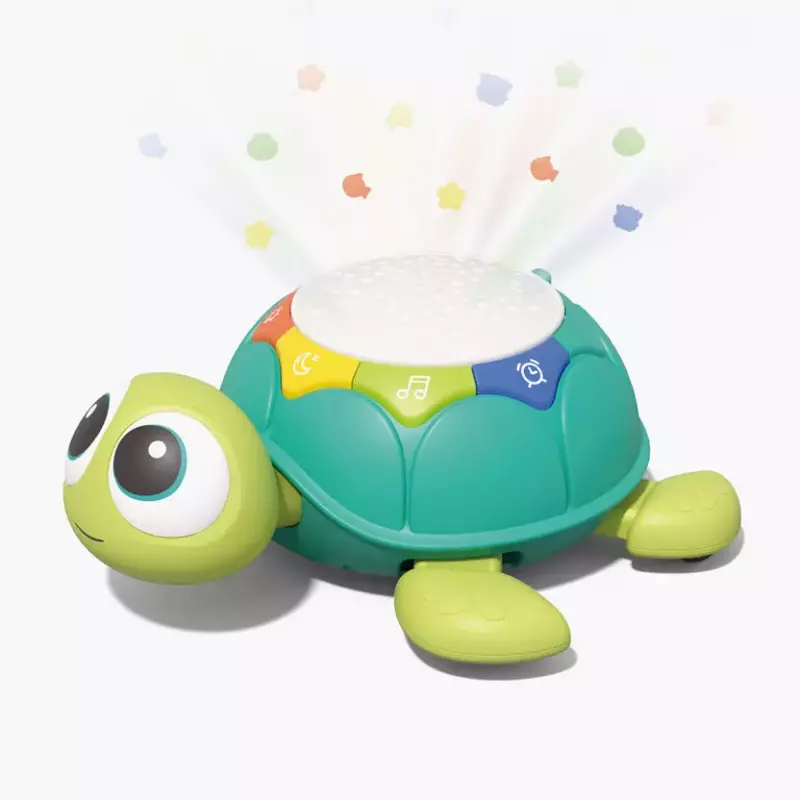 TORTUGA PROYECTOR
