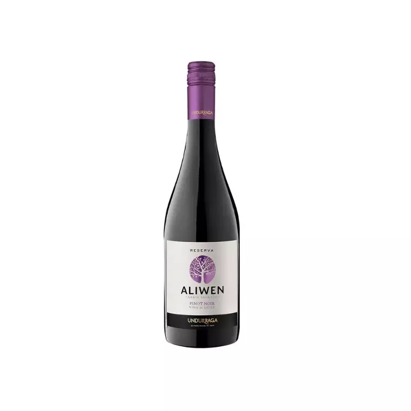 Vino Aliwen Pinot Noir Rva 13° 750 c