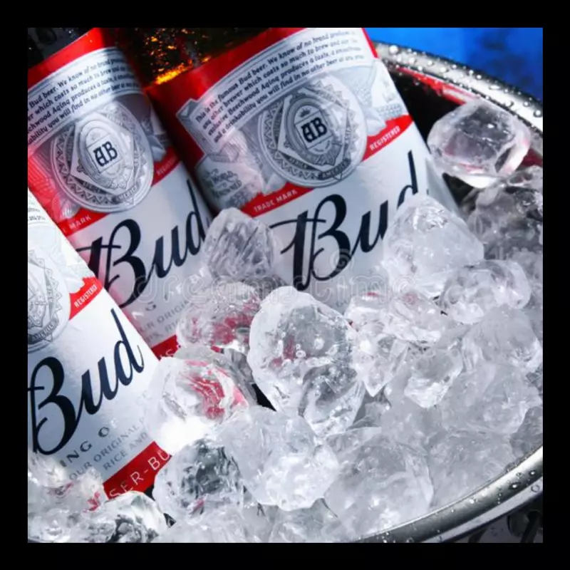 Budweiser long neck