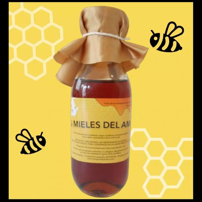 Miel de Abeja Pura x450gr peso neto