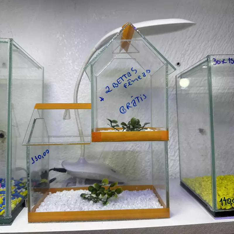 Beteira Dupla Casinha