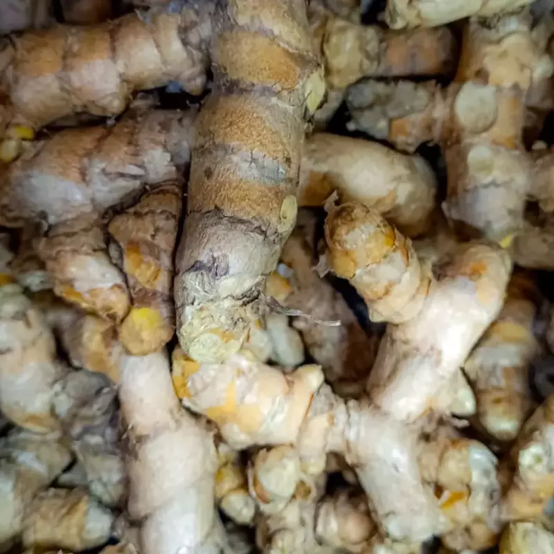 AÇAFRÃO/CÚRCUMA ORG. 200gr