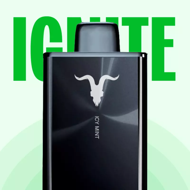 IGNITE V300 BLACK - 30.000 PUFFS💨
