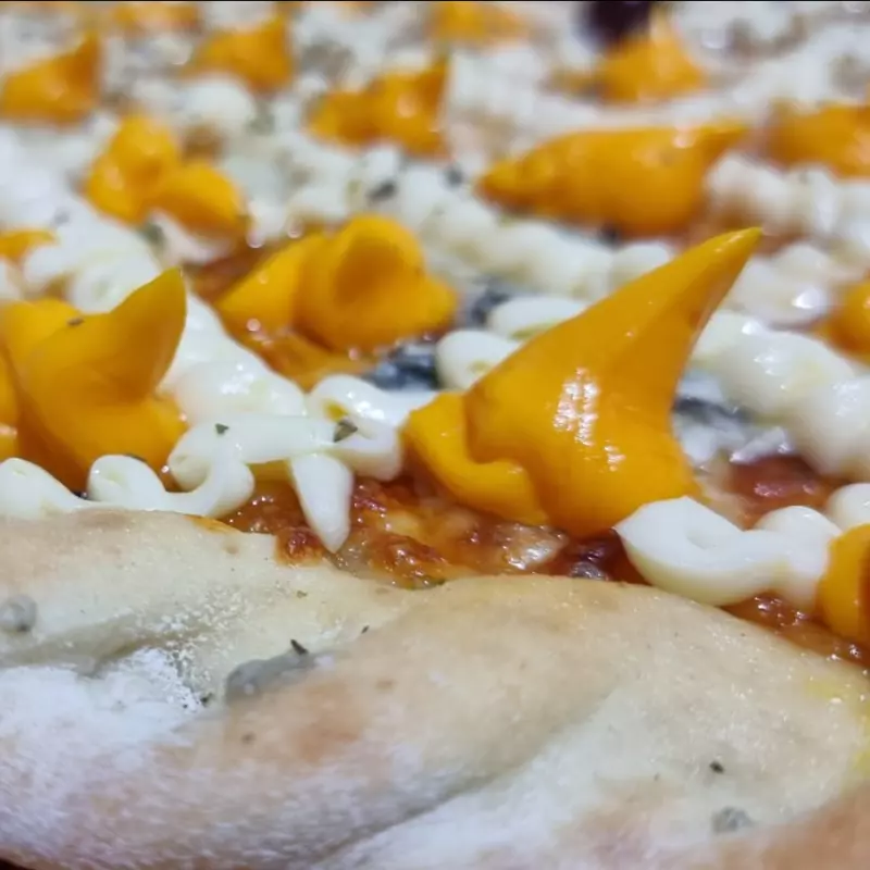 Pizza 5 Queijos à Moda da Casa