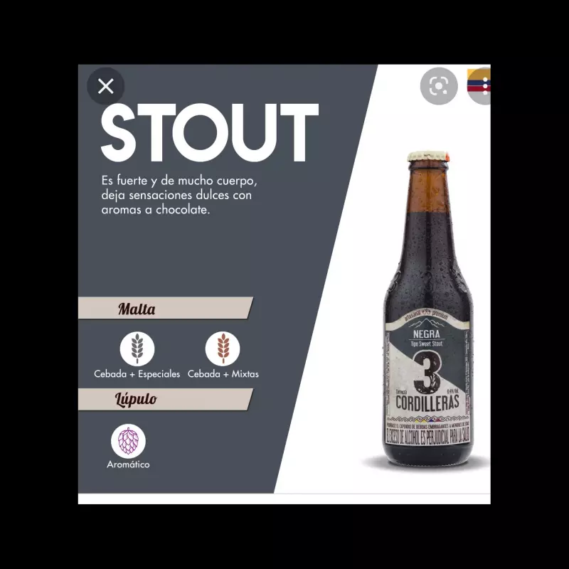 Cerveza Negra Artesanal 3 Cordiller