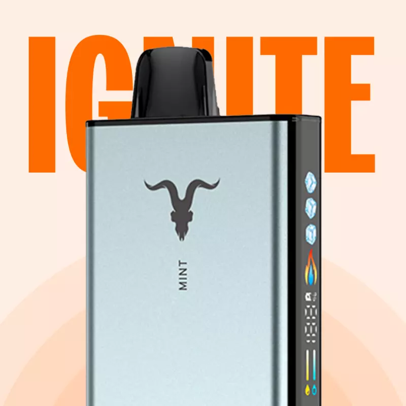 IGNITE ICE 40.000  Puffs