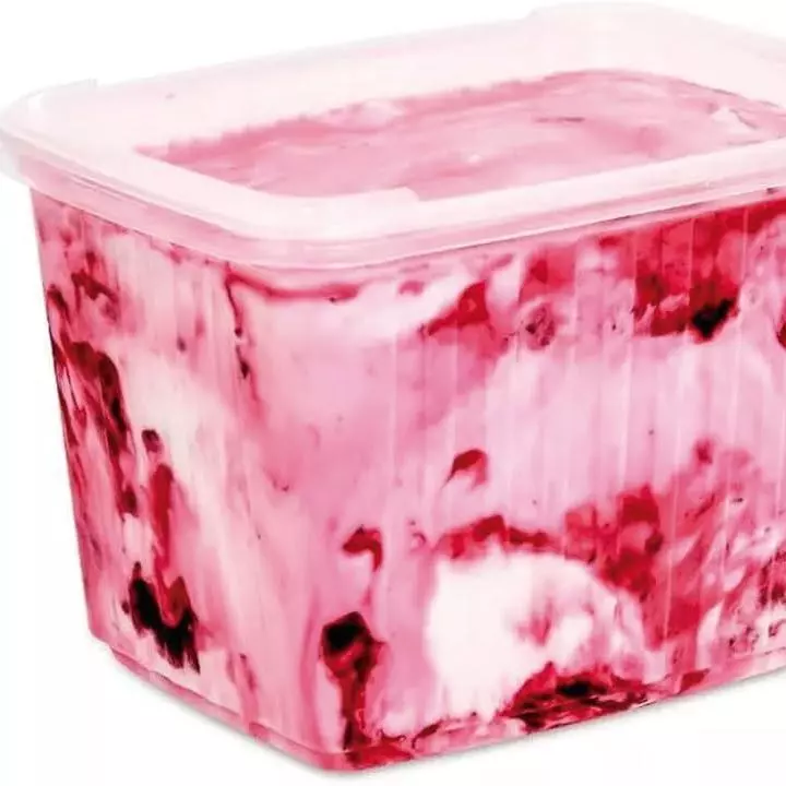 Pote de Sorvete 2 litros
