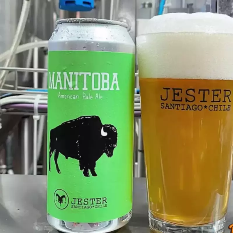 JESTER MANITOBA 5.2 Alc 40 ibu