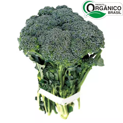 Brocolis Ramoso Orgânico Un