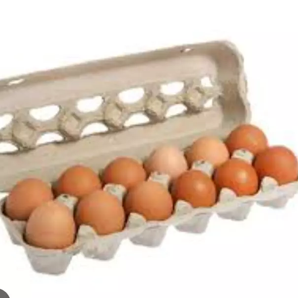 1 doc huevos gallina libres (11)