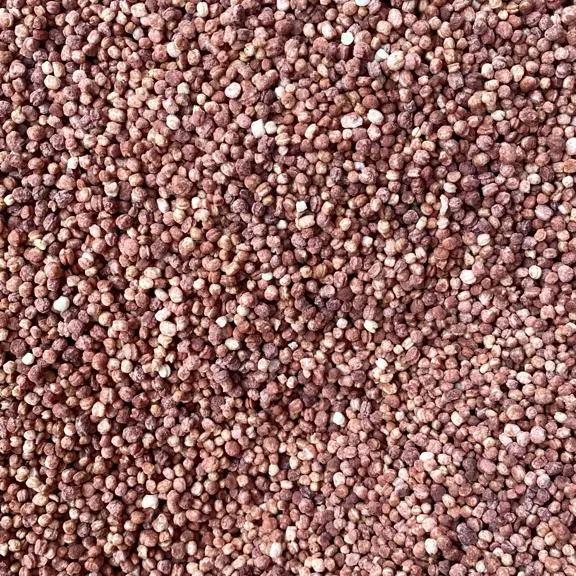 Quinoa inflada sabor chocolate 250gr