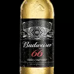 Bud 66
