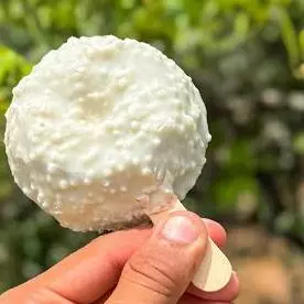 PICODIM BRANCO