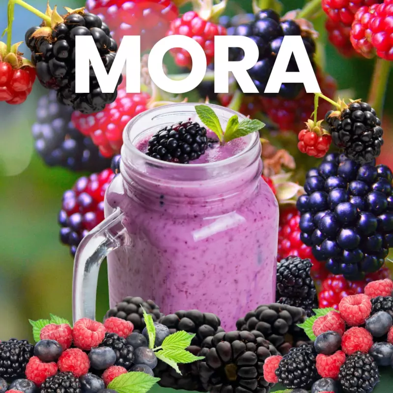 Jugo de mora