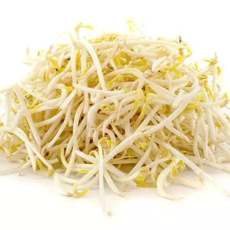 Germinado De Soya