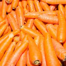 ZANAHORIA PRIMERA KILO