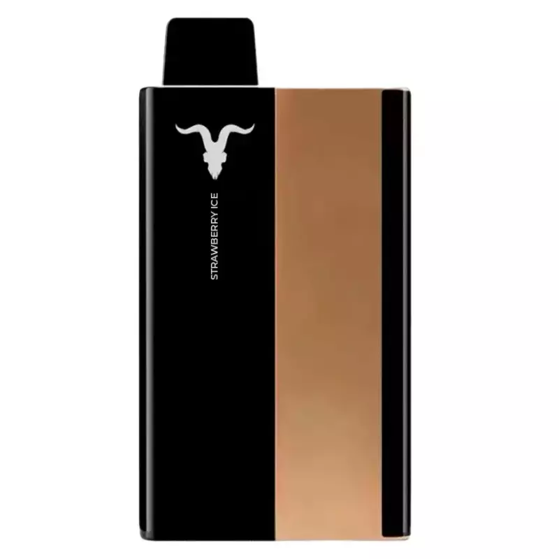 Ignite P100 10.000 PUFFS